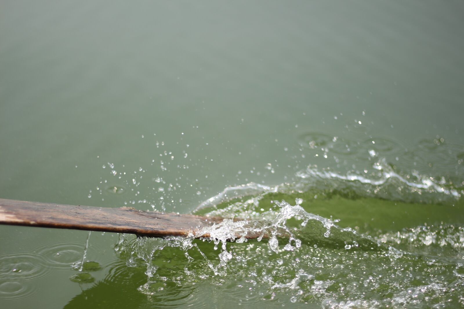 Canon EOS 700D (EOS Rebel T5i / EOS Kiss X7i) + Canon EF 50mm F1.8 STM sample photo. Water, the waves, natural photography