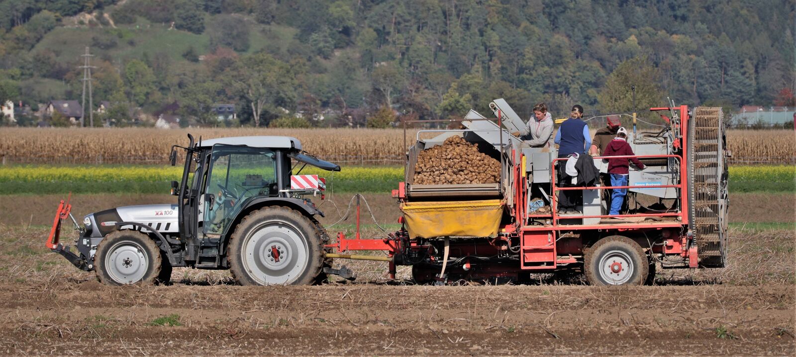 Canon EOS M50 (EOS Kiss M) + Canon EF-M 55-200mm F4.5-6.3 IS STM sample photo. Harvester, tractor, potatoes photography