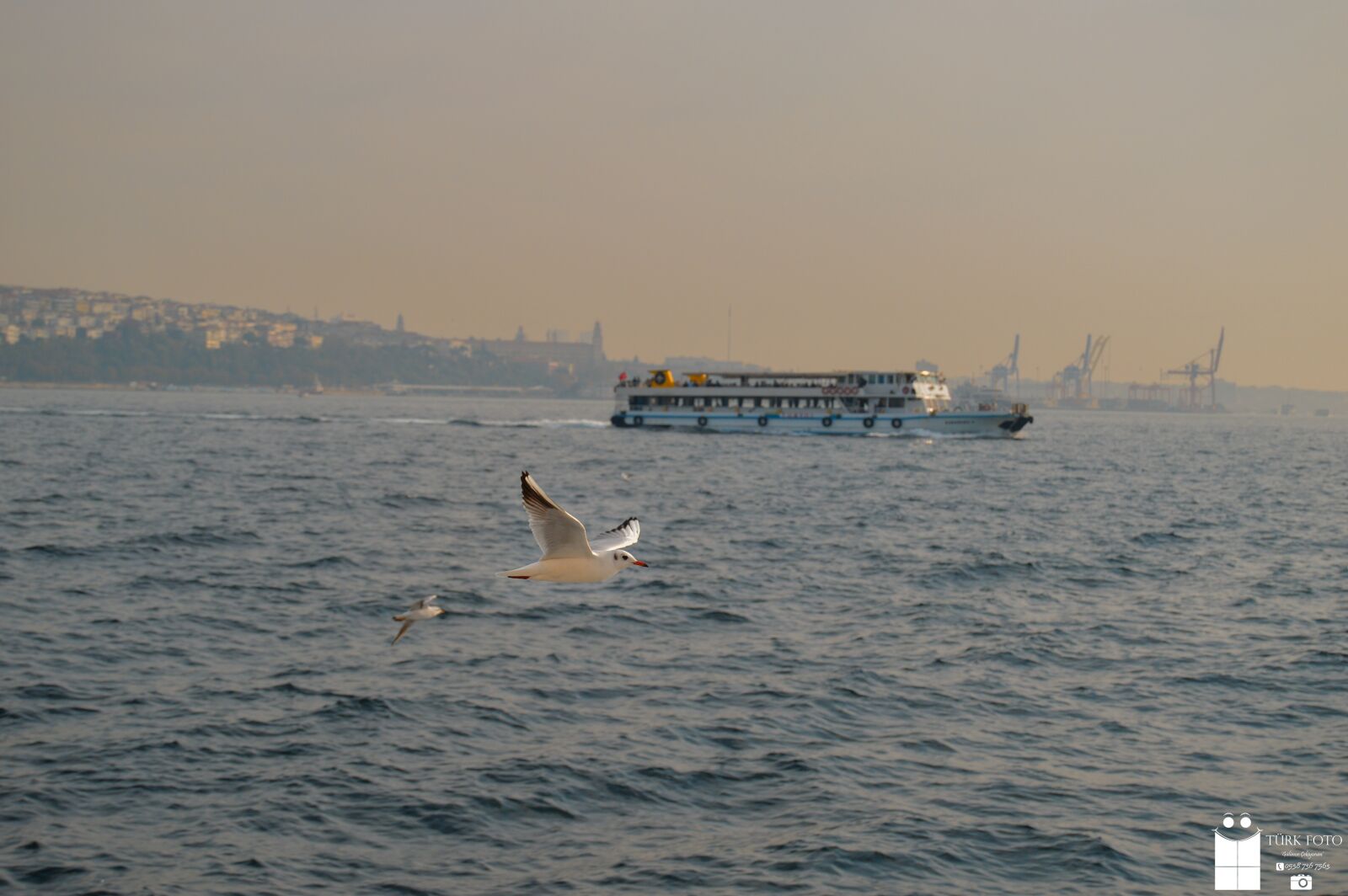 Nikon D3200 sample photo. Istanbul, gemi, kızkulesi photography