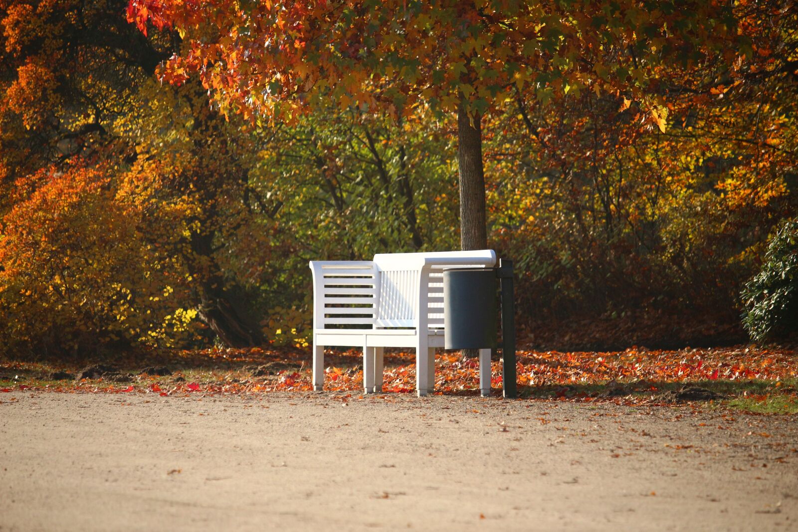 Canon EOS 100D (EOS Rebel SL1 / EOS Kiss X7) sample photo. Bank, park bench, autumn photography