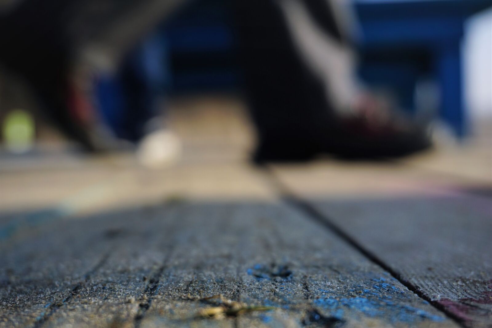 Sony a6000 sample photo. Bokeh, focus photography