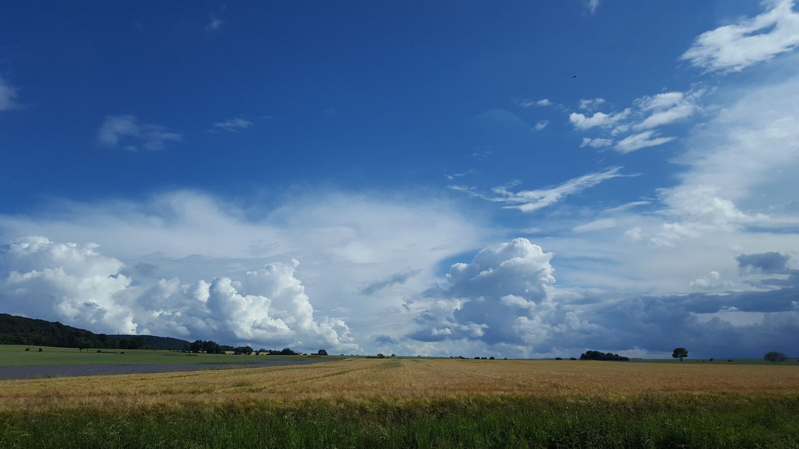 Samsung Galaxy S6 sample photo. Nature, field, tree photography