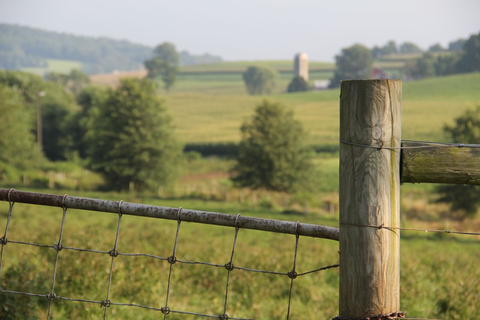 Canon EOS 60D sample photo. Green, nature, field photography