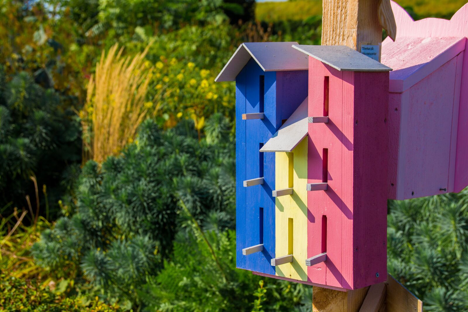 Canon EOS 700D (EOS Rebel T5i / EOS Kiss X7i) sample photo. Bird houses, aviary, nature photography