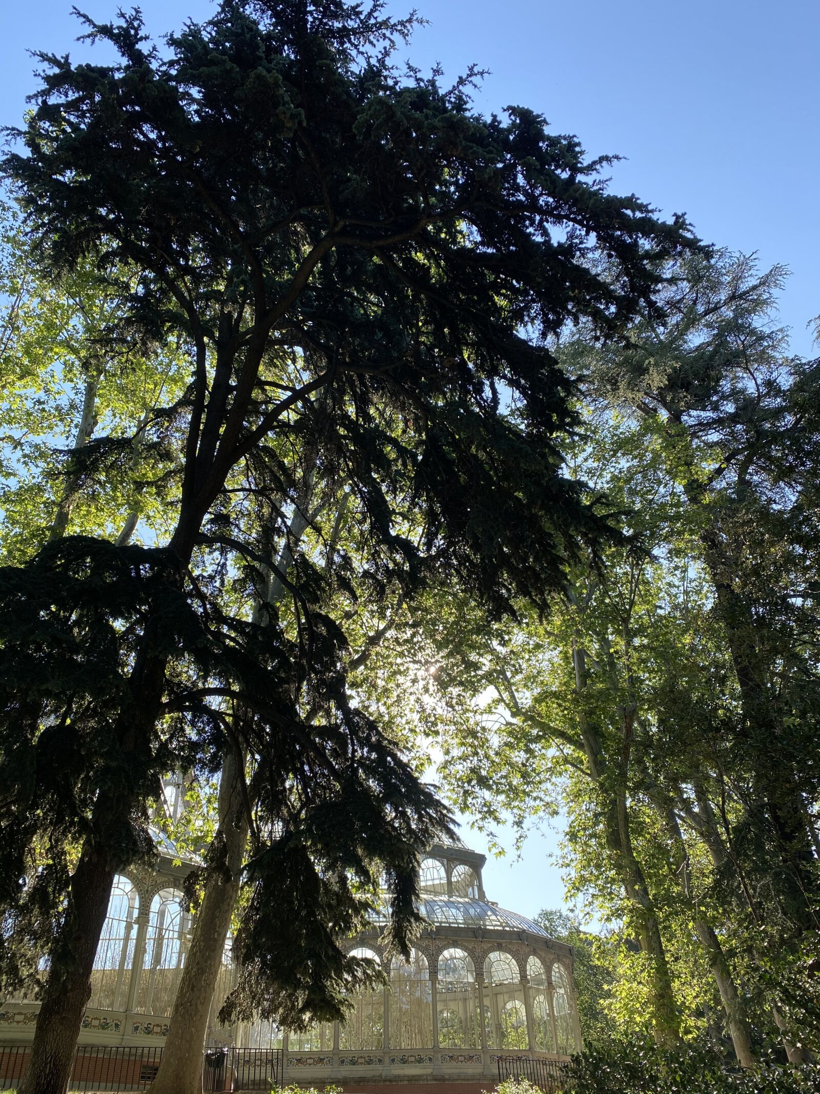 Apple iPhone 11 Pro sample photo. Trees, palace, nature photography