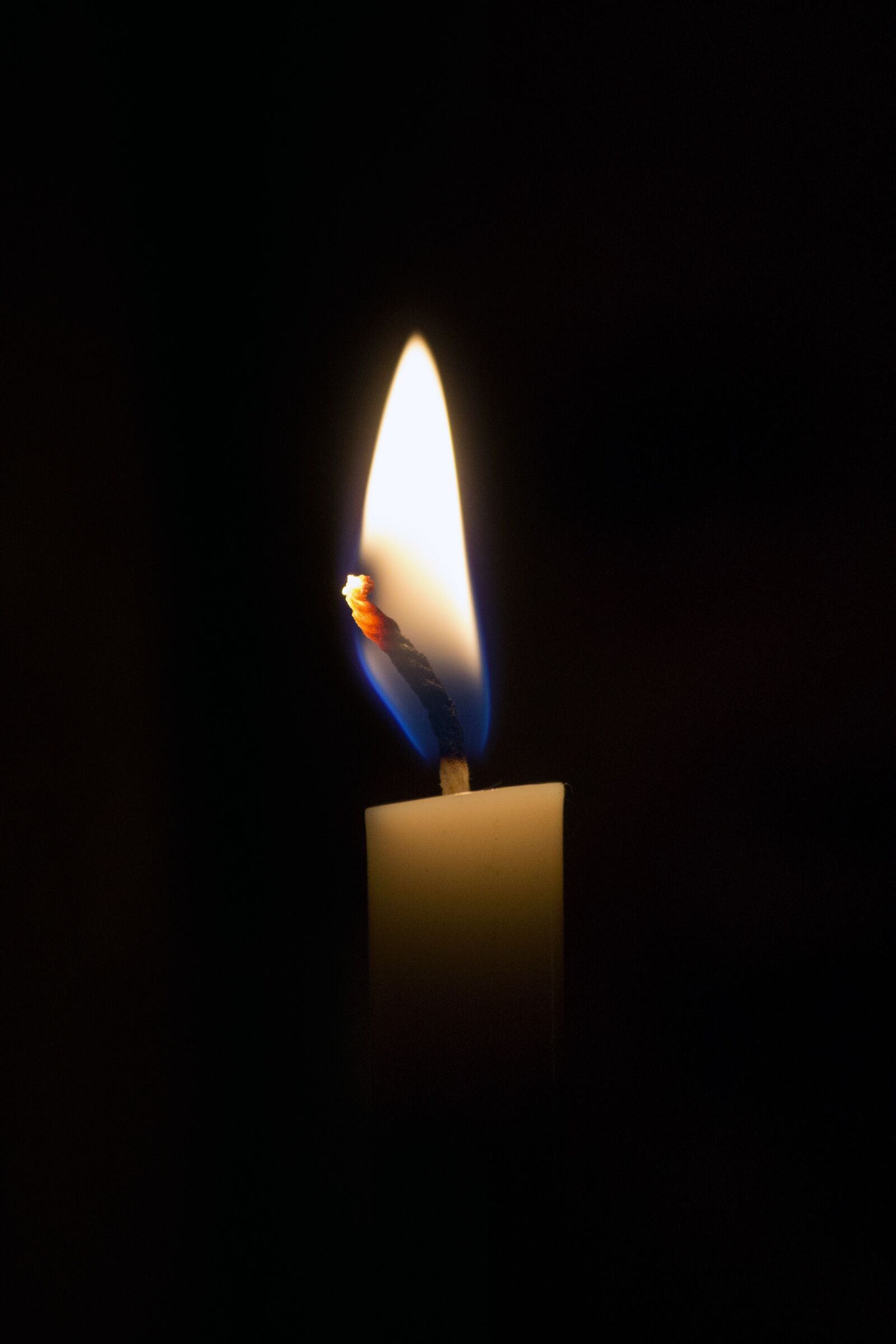 Canon EOS 1100D (EOS Rebel T3 / EOS Kiss X50) sample photo. Candle, light, fire photography