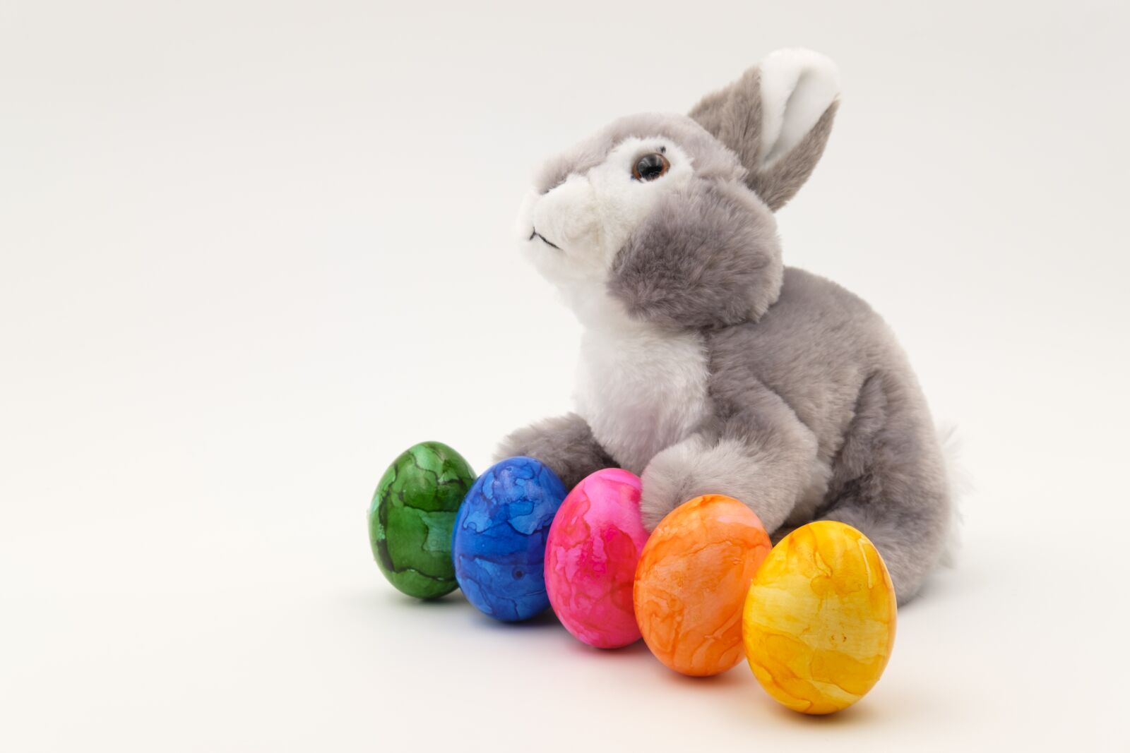 Fujifilm X-T2 + Fujifilm XF 35mm F2 R WR sample photo. Hare, easter bunny, easter photography