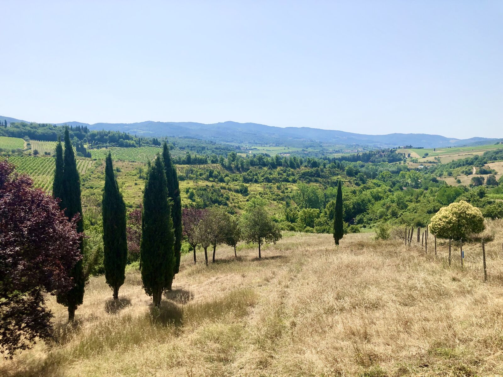 iPhone 8 Plus back dual camera 3.99mm f/1.8 sample photo. Chianti, nature, view photography