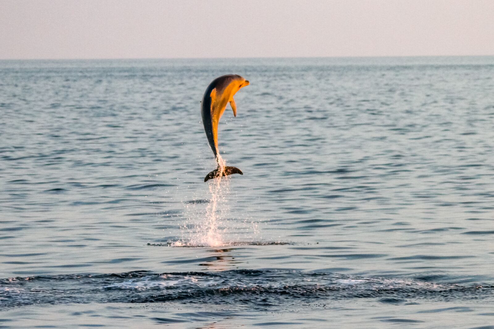 Canon EOS 7D sample photo. Waters, sea, ocean photography