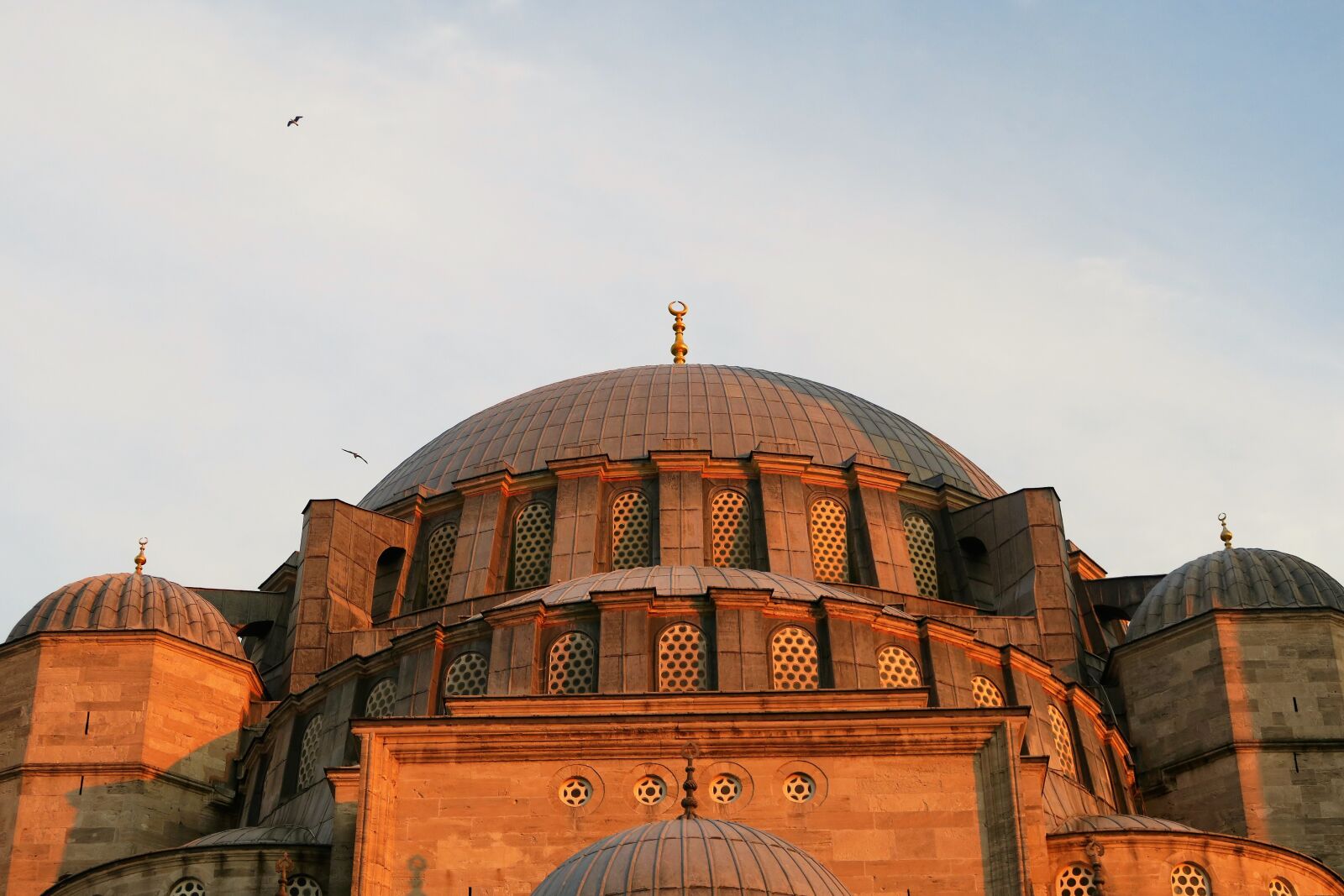 Canon PowerShot G7 X sample photo. Architecture, dome, cami photography