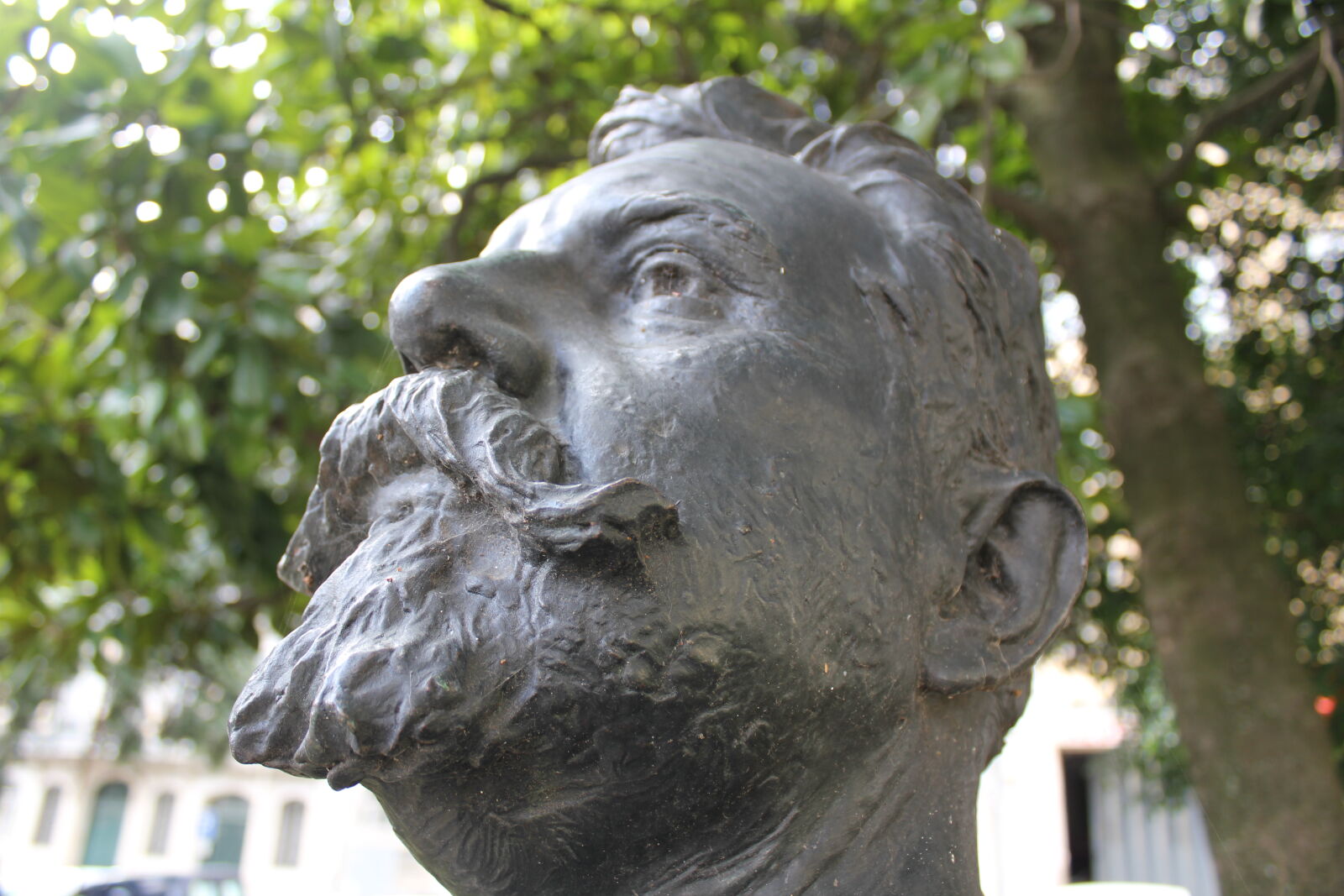 Canon EOS 550D (EOS Rebel T2i / EOS Kiss X4) sample photo. Head, statue photography