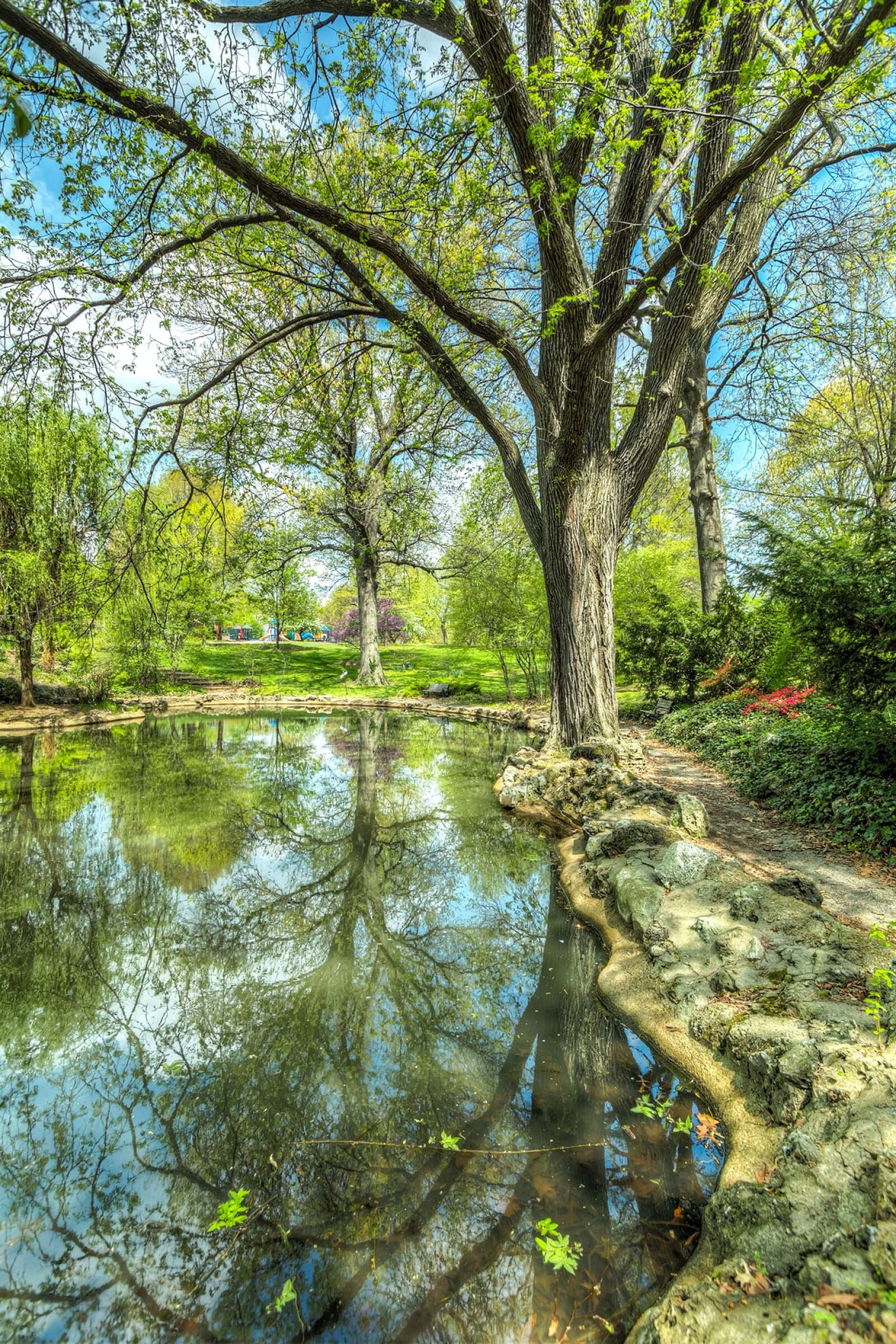 Canon EOS 5D Mark III sample photo. Tree, park, pond photography