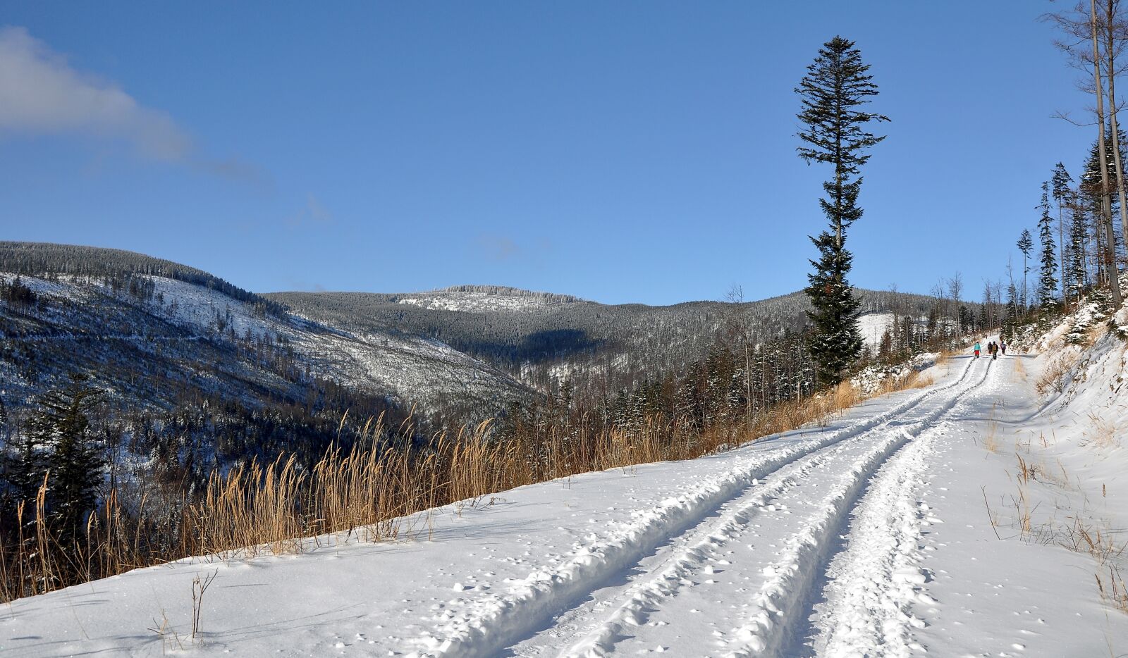 Nikon D90 sample photo. Snow, winter, nature photography