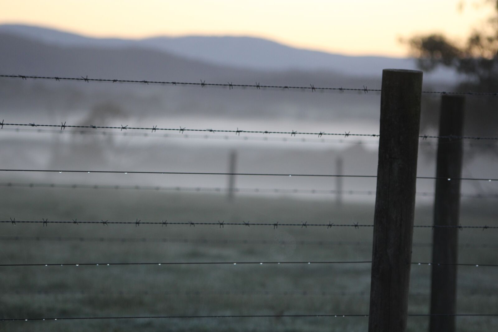 Canon EOS 1200D (EOS Rebel T5 / EOS Kiss X70 / EOS Hi) sample photo. Fence, winter, morning frost photography