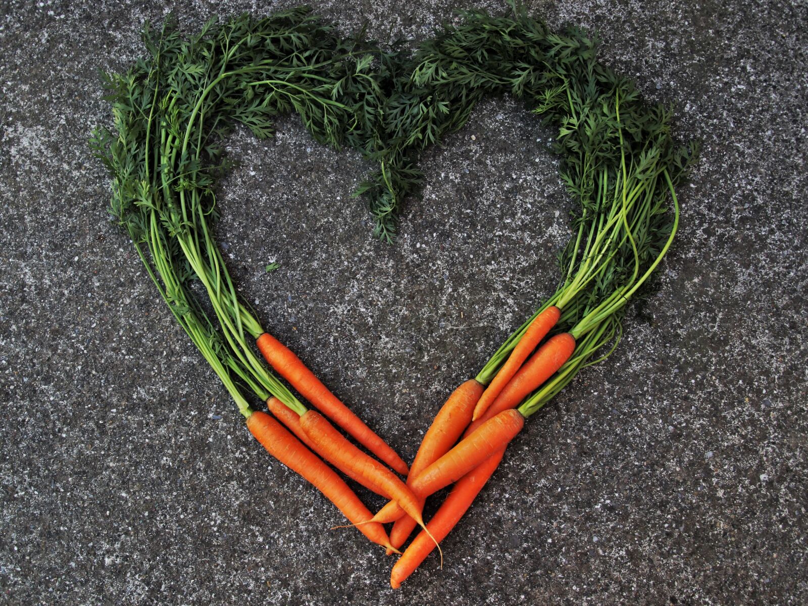 Canon EOS 80D sample photo. Carrot, bio, fresh photography