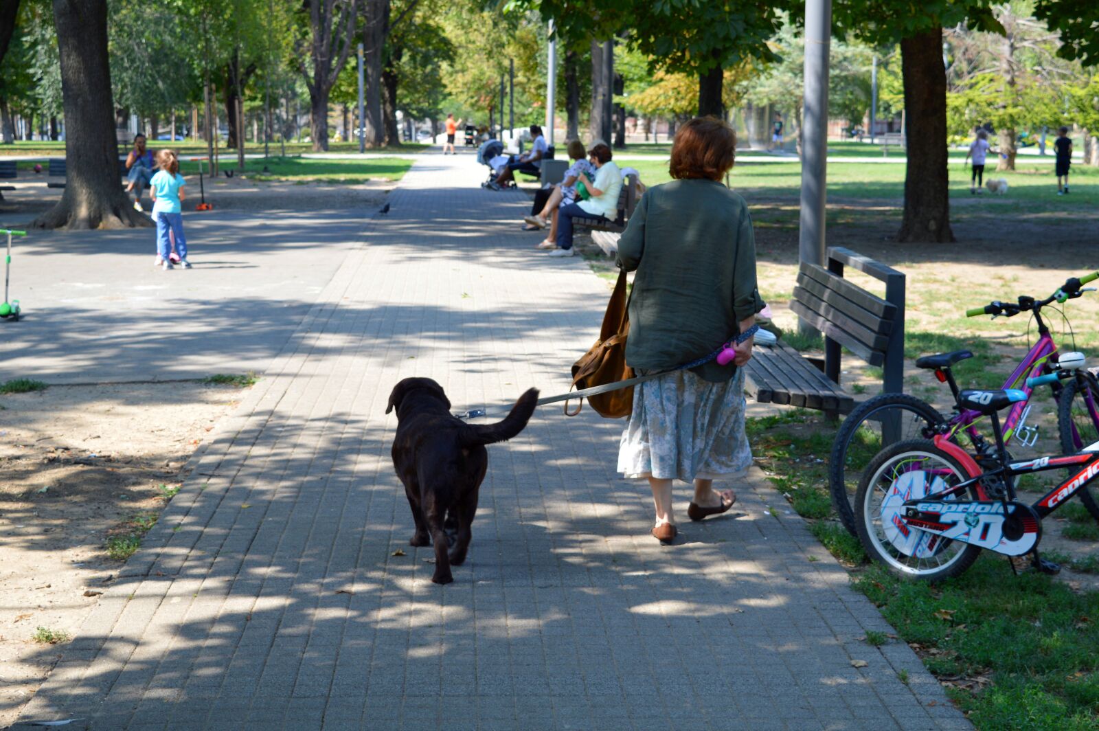 Nikon D3200 sample photo. Park, woman, dog photography