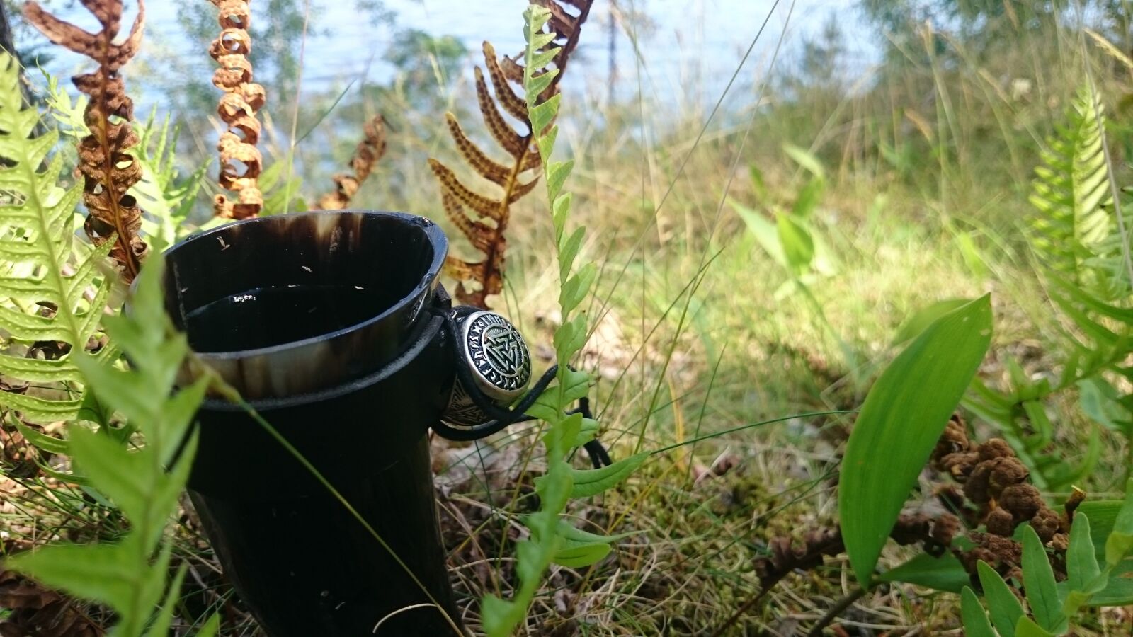 Sony Xperia Z1 sample photo. Horn, valknut, sütterlin photography