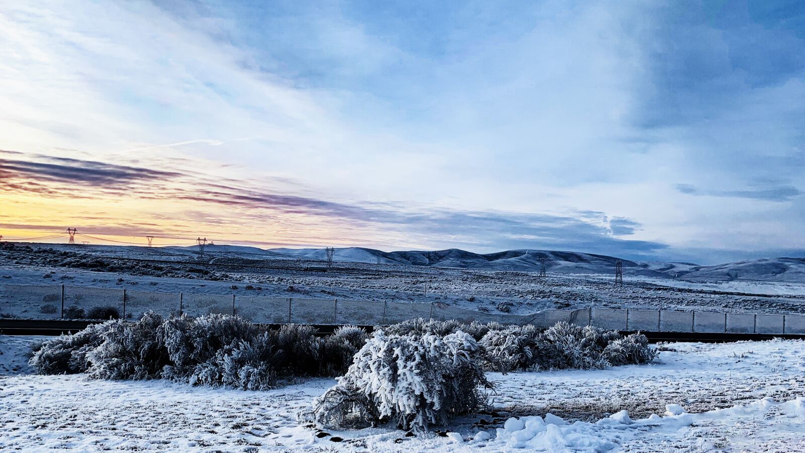 Apple iPhone XR sample photo. Winter, snow, sun photography