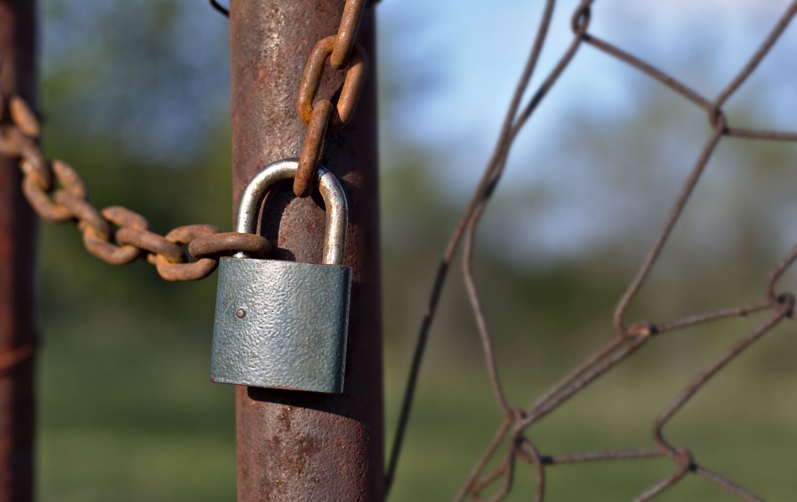 Nikon D5600 sample photo. Castle, fence, chain photography