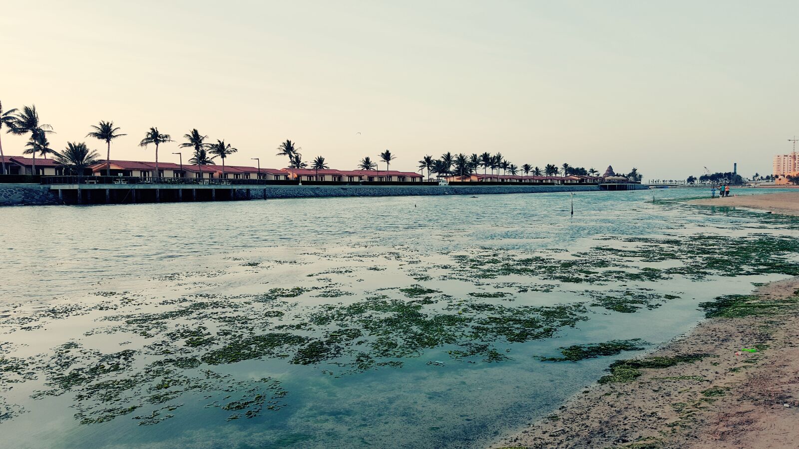 Samsung GALAXY S6 edge sample photo. Seaside photography