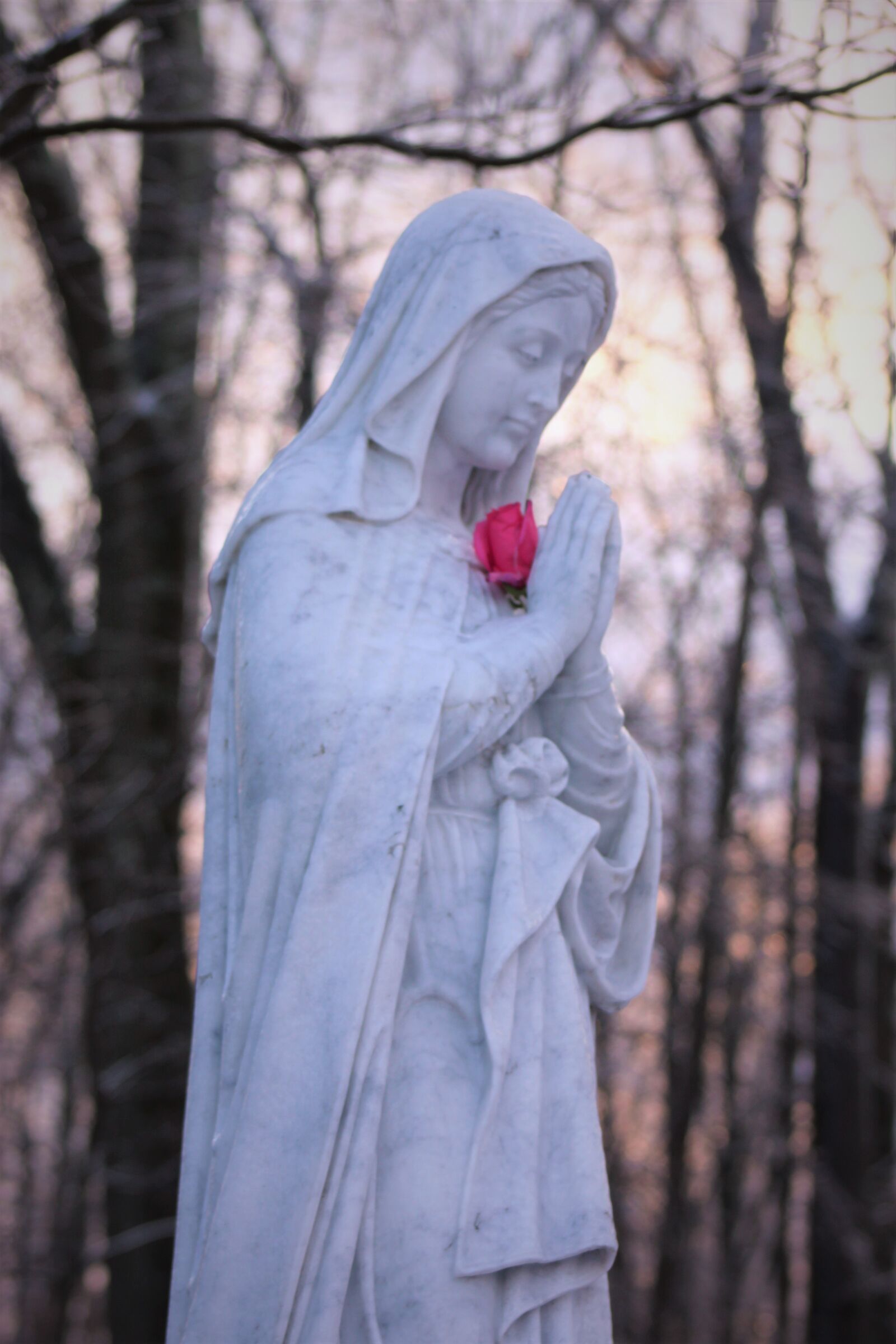 Canon EOS 500D (EOS Rebel T1i / EOS Kiss X3) sample photo. Virgin mary, religion, faith photography