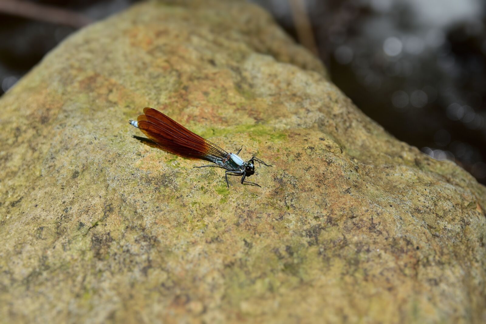 Nikon D7200 sample photo. Natural, landscape, river photography