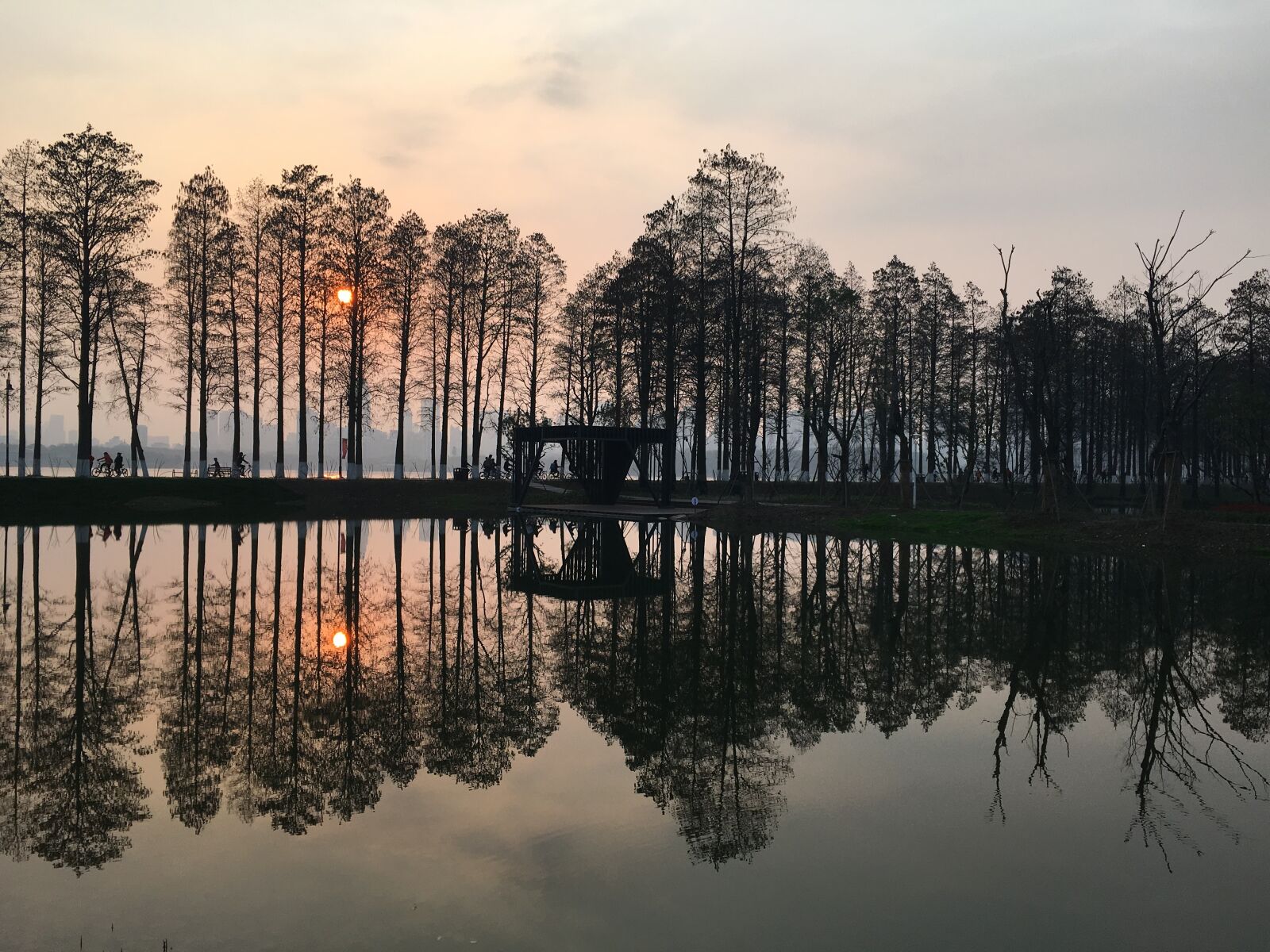 Apple iPhone 6s sample photo. Lake, tree, reflection photography