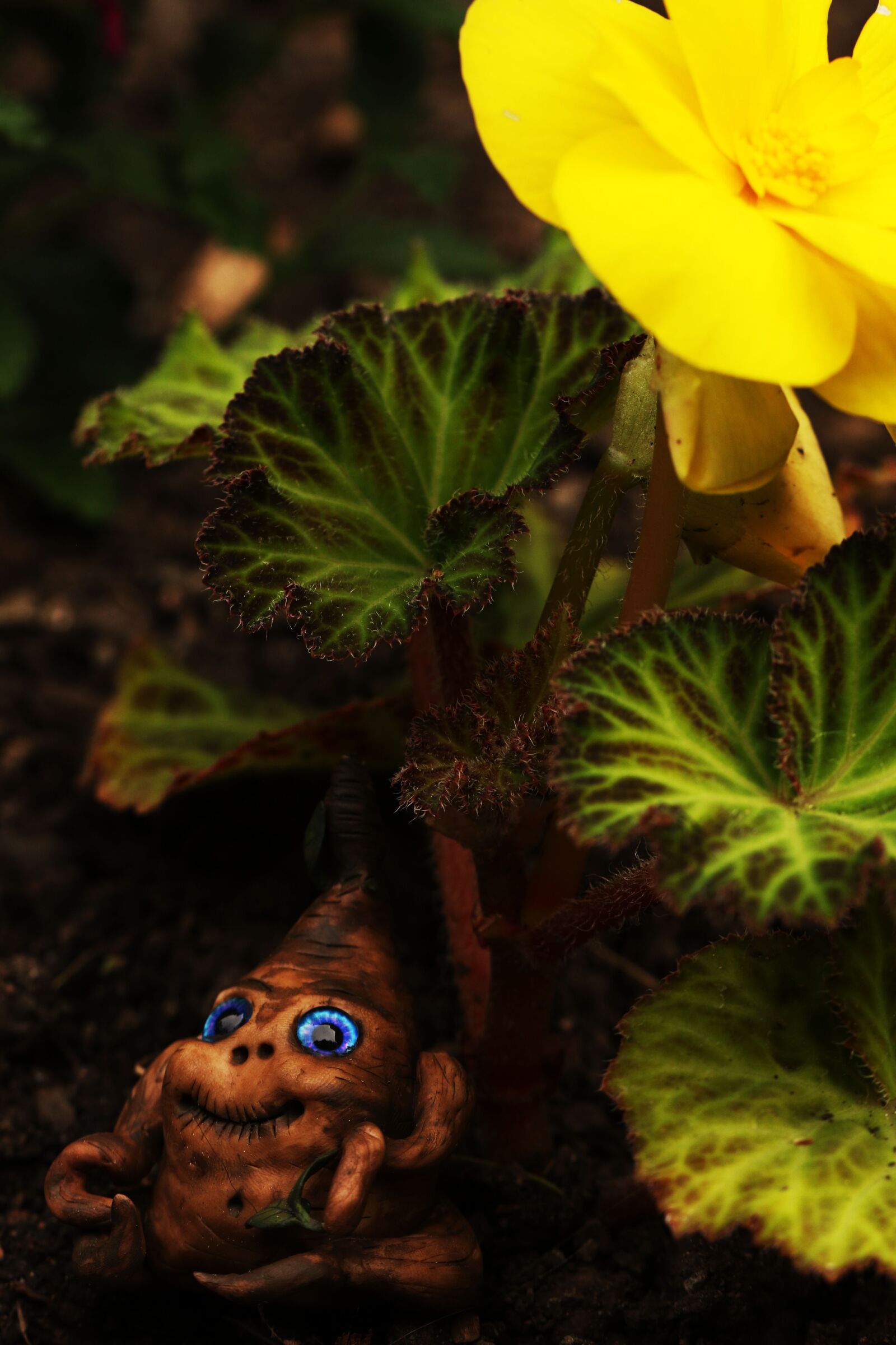 Canon EOS 7D Mark II sample photo. Figure, flower, yellow photography