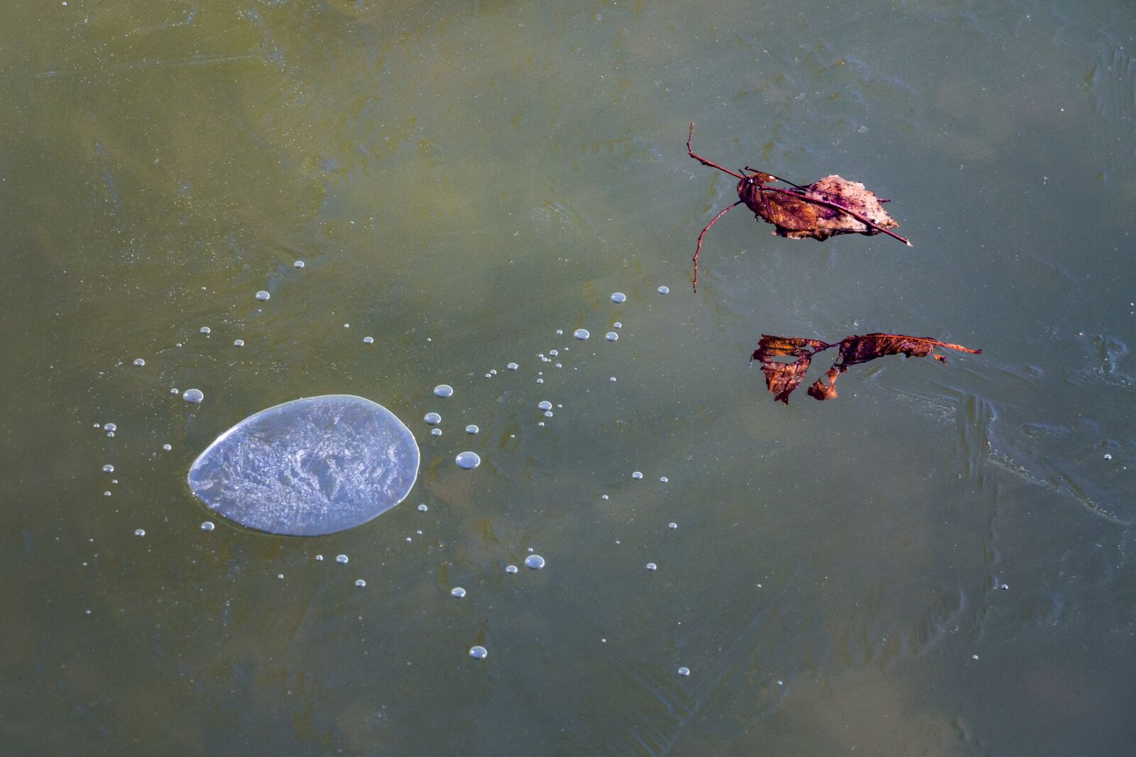 Canon EOS 70D sample photo. Ice, water, winter photography