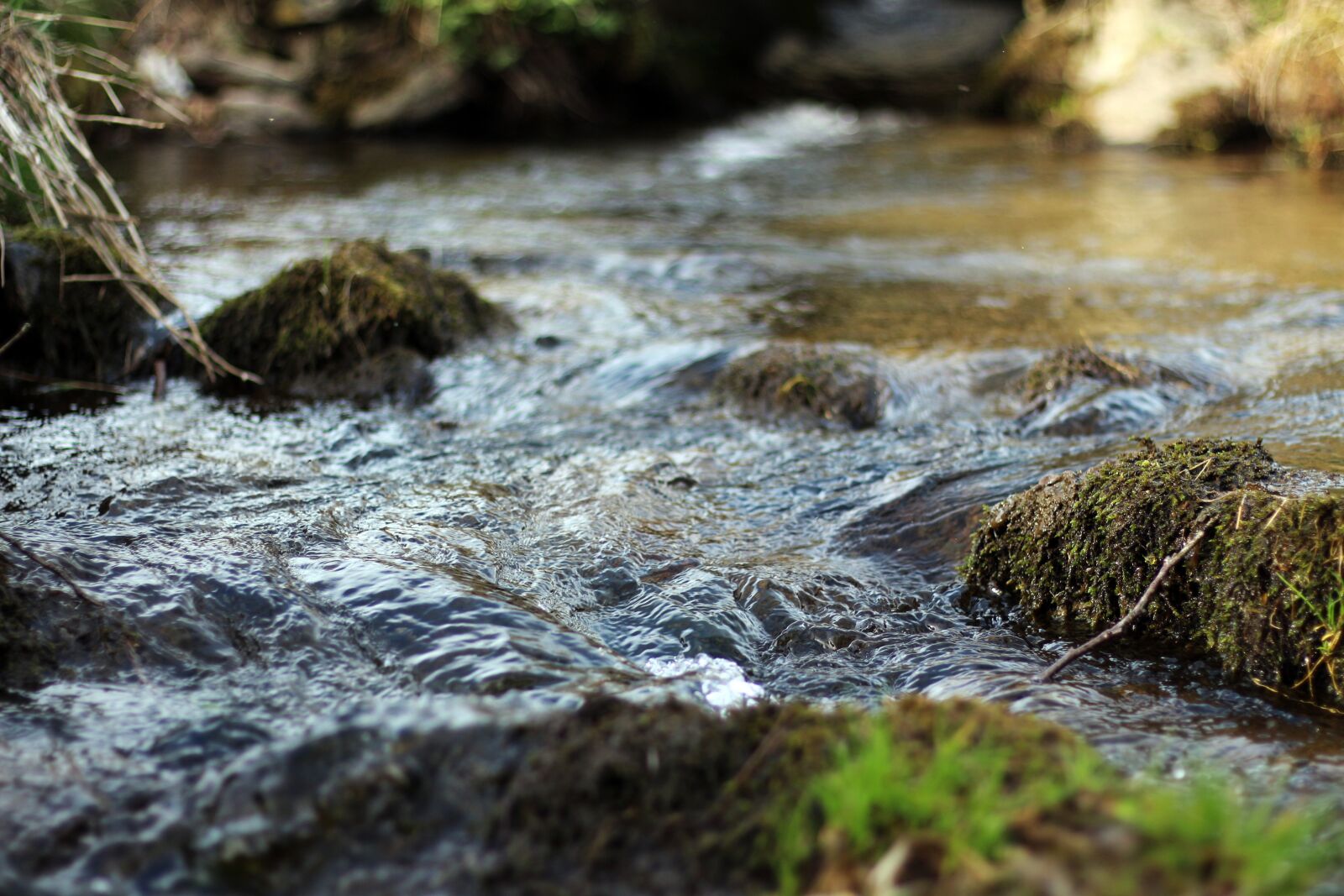 Canon EOS 650D (EOS Rebel T4i / EOS Kiss X6i) + Canon EF 50mm F1.8 STM sample photo. Water, river, small water photography