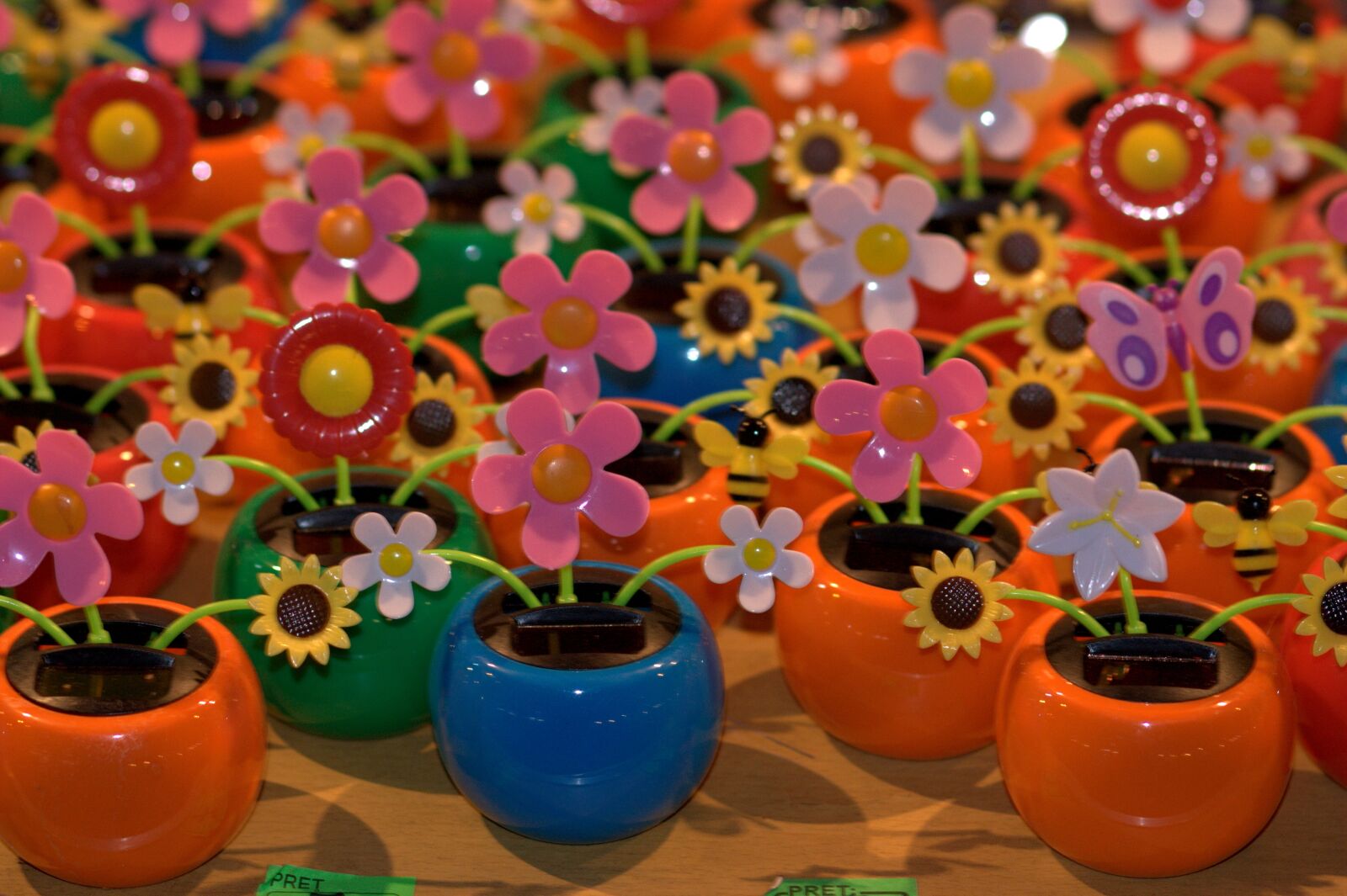 Canon EOS 450D (EOS Rebel XSi / EOS Kiss X2) sample photo. Flowers, toys, plastic photography