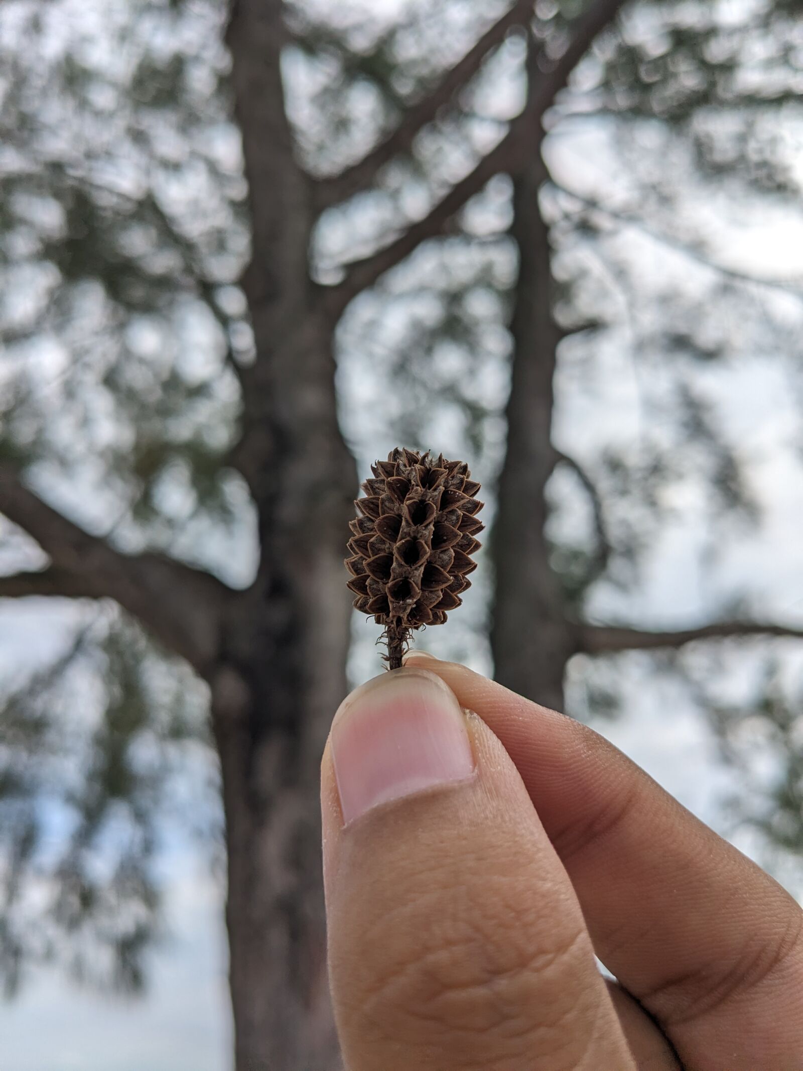 Google Pixel 5 sample photo. Beach1_pixel5 photography