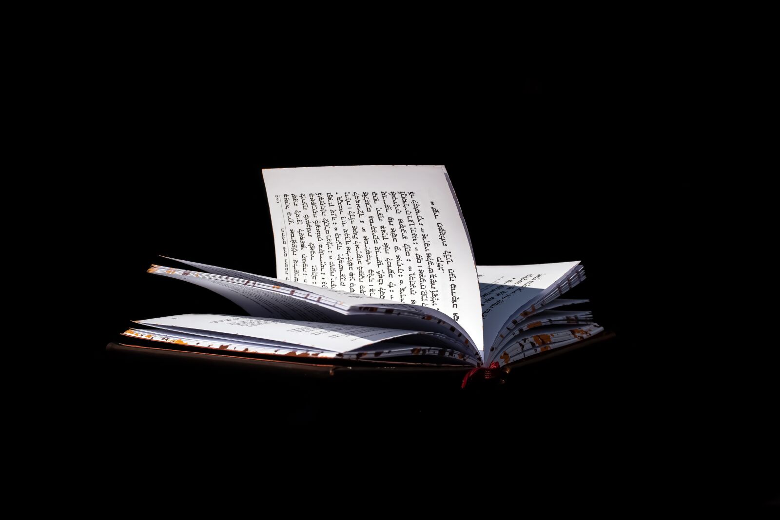 Nikon D5600 sample photo. Scripture, jewish, israel photography