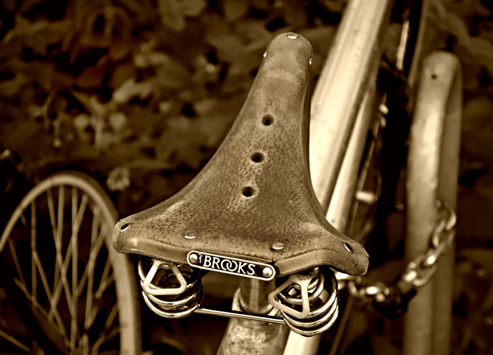Sony Cyber-shot DSC-RX100 sample photo. Saddle, bicycle, bicycle saddle photography