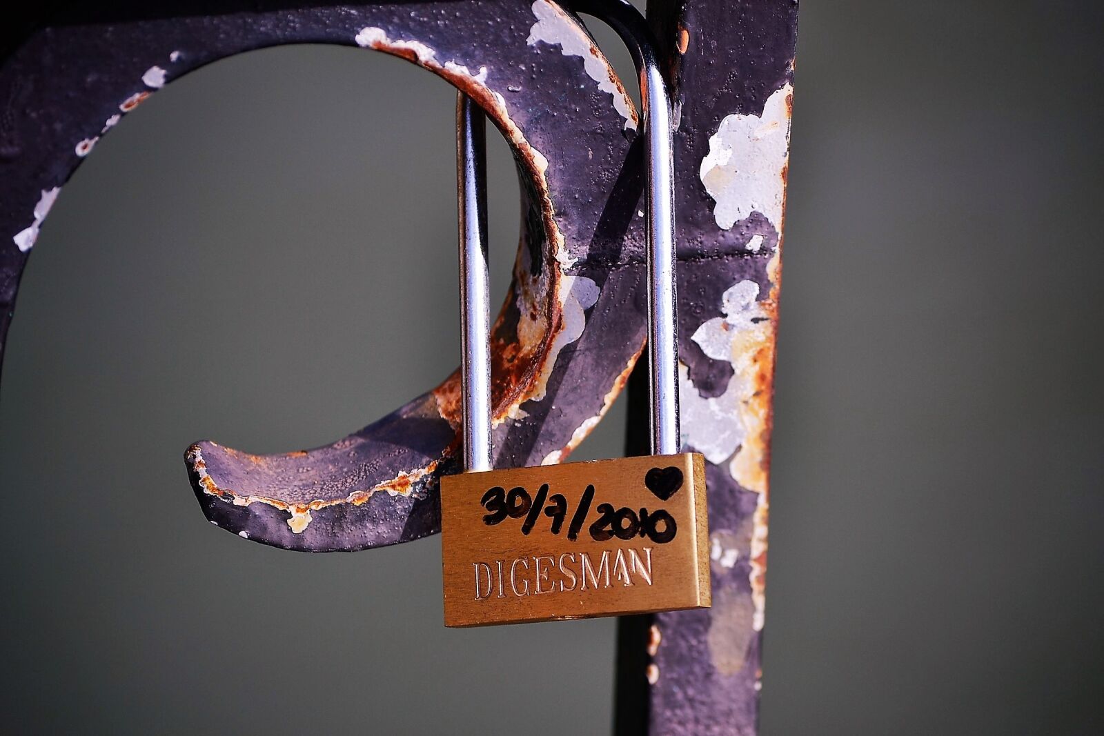 Nikon D3100 sample photo. Padlock, love, security photography