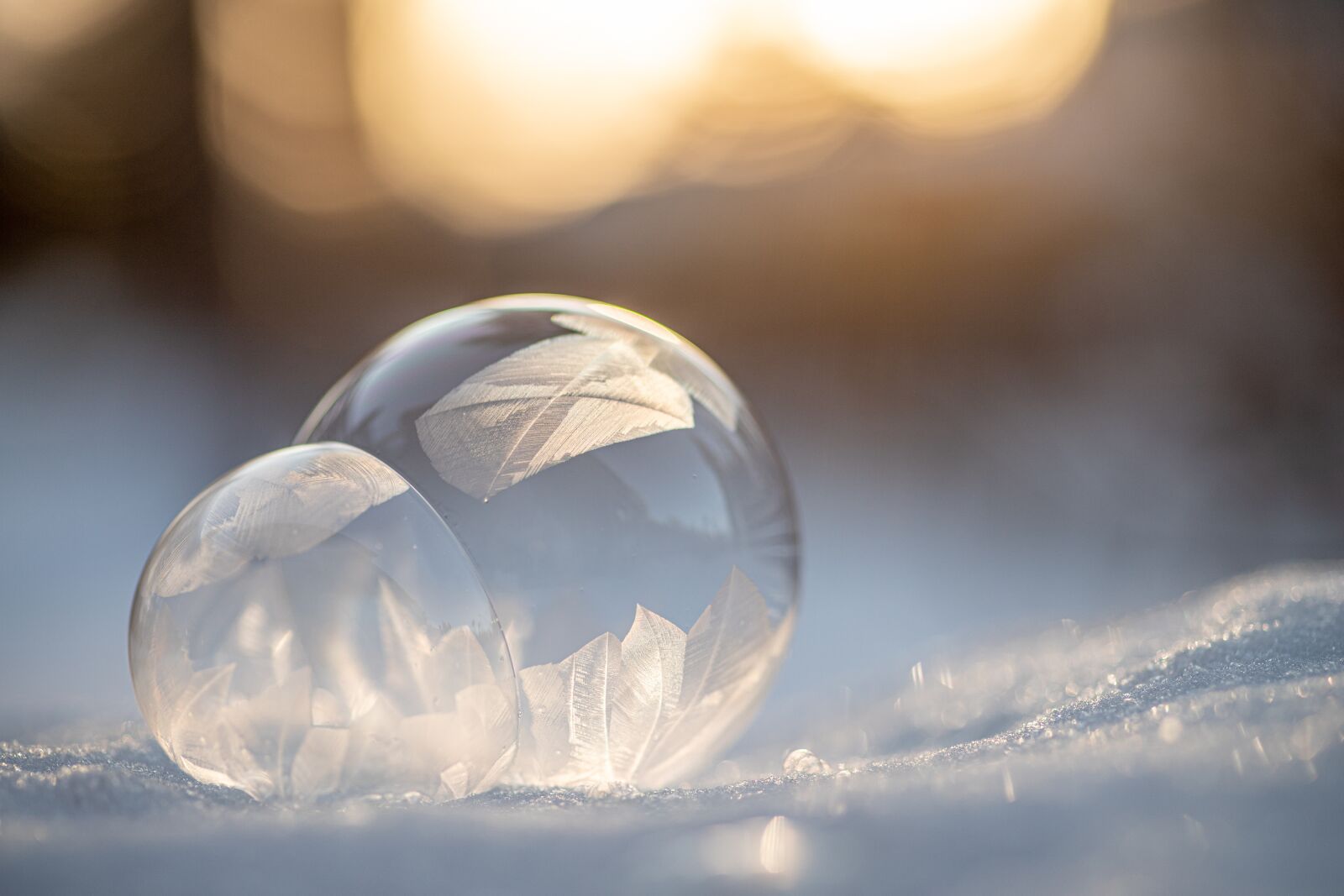 Canon EOS 6D Mark II sample photo. Frozen, bubbles, ice photography
