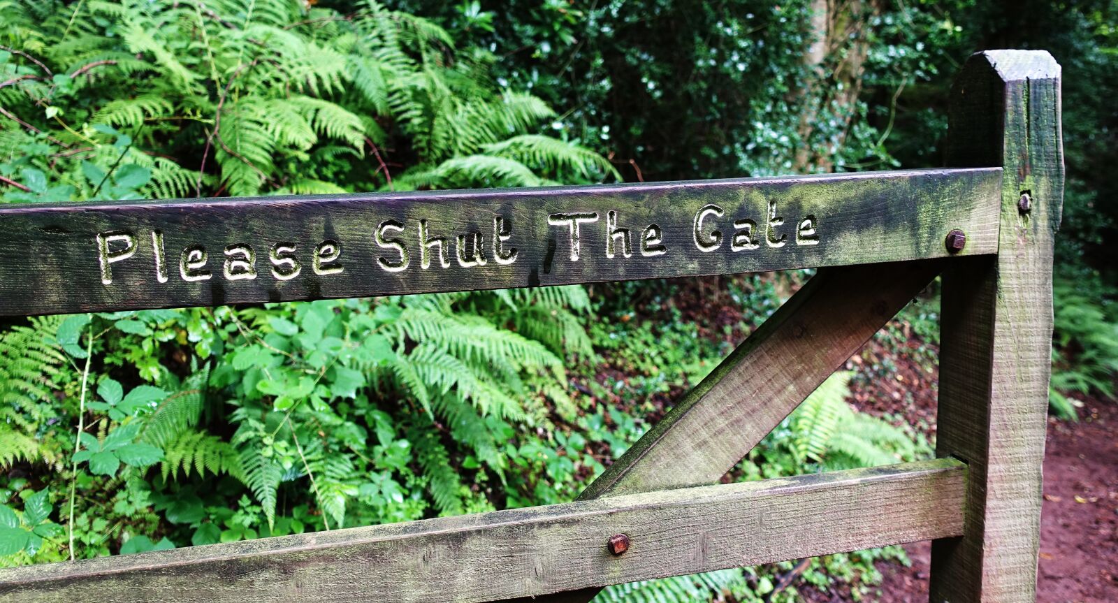 Sony DSC-RX100M5 sample photo. Shut, gate, open photography