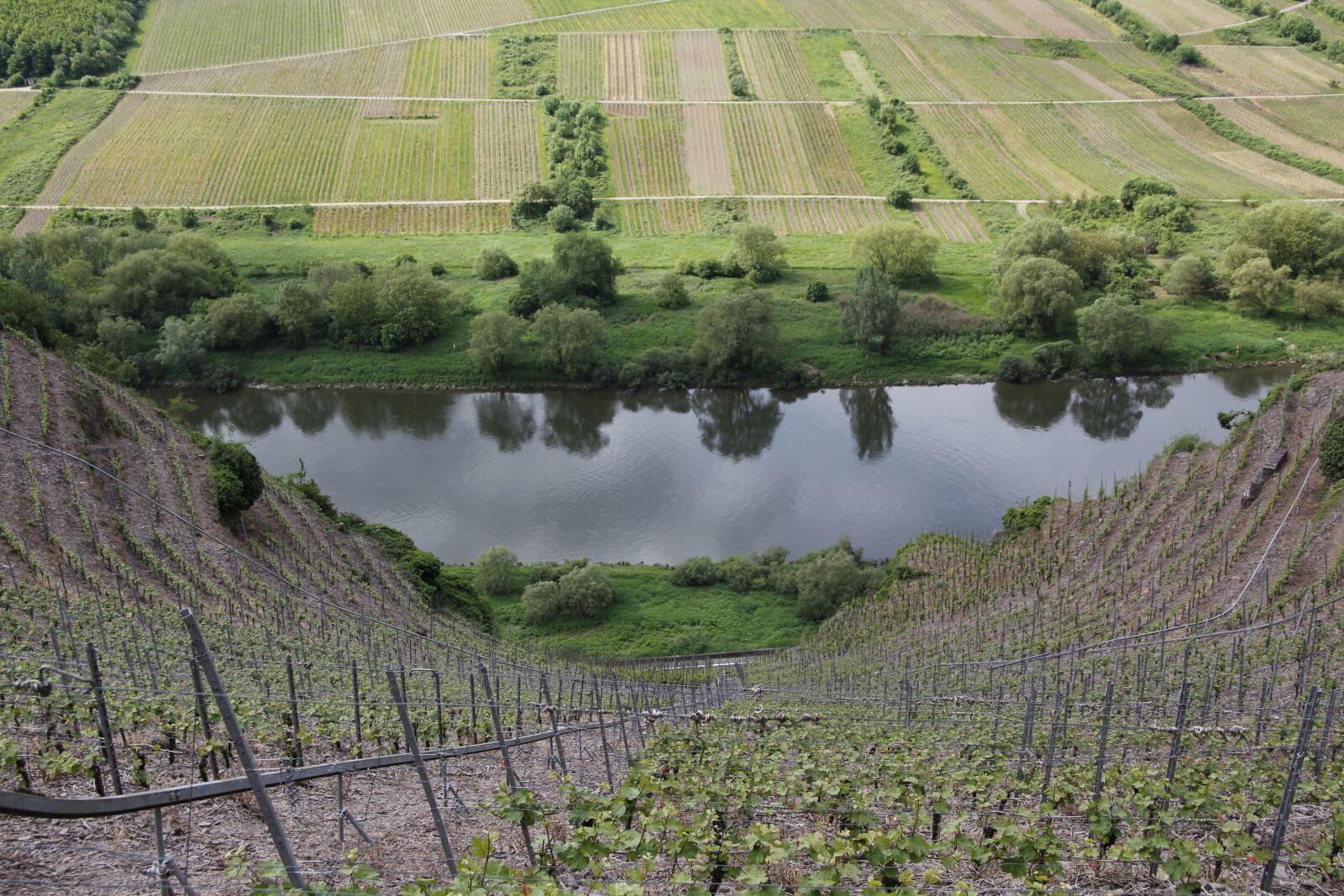 Canon EOS 550D (EOS Rebel T2i / EOS Kiss X4) sample photo. Landscape, nature, mosel photography