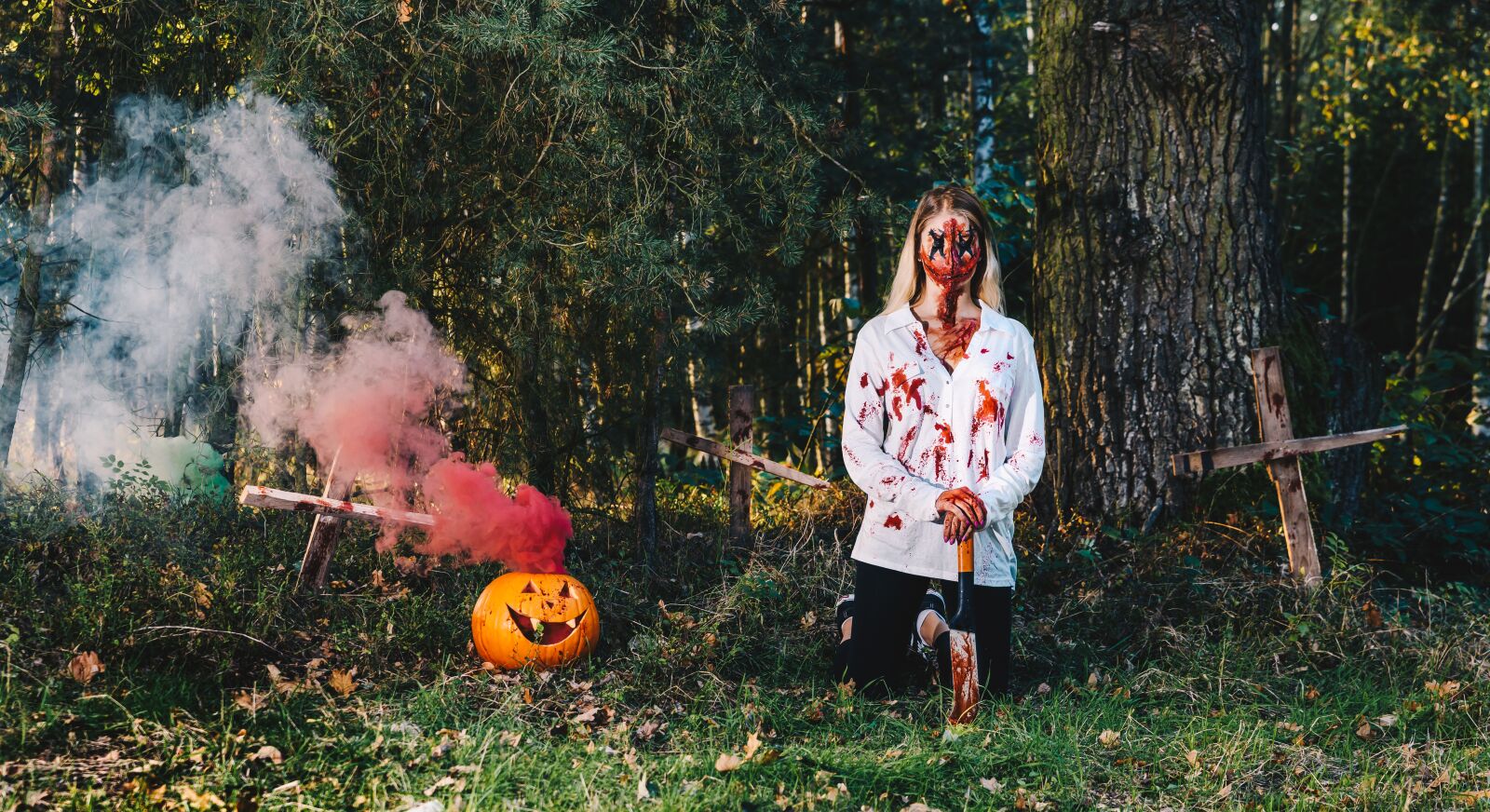 Nikon D810 sample photo. Tree, halloween, forest photography