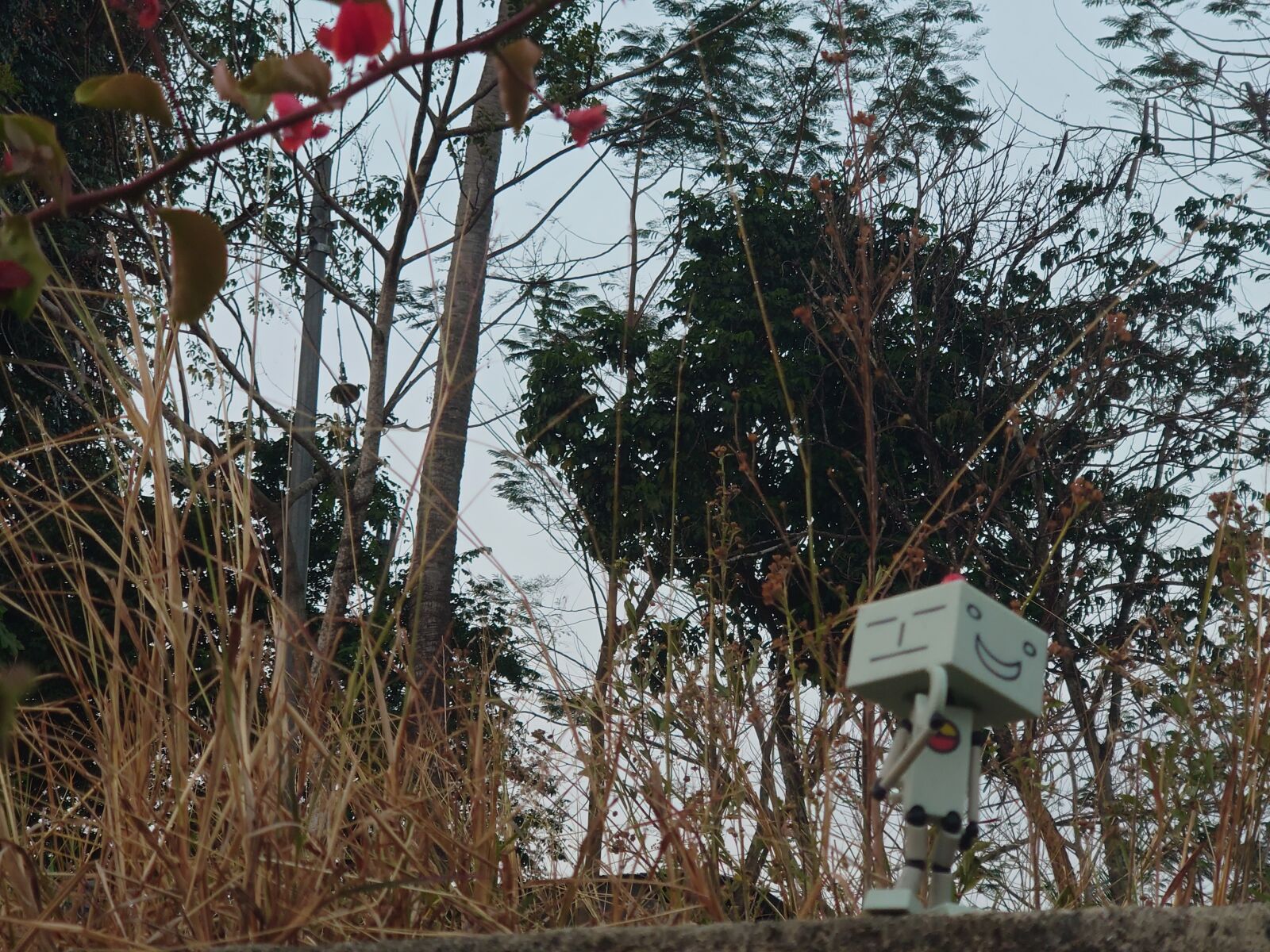 Sony XQ-AS72 sample photo