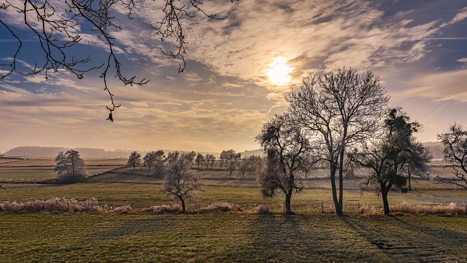 Canon EOS 5D Mark IV sample photo. Wintry, winter, cold photography