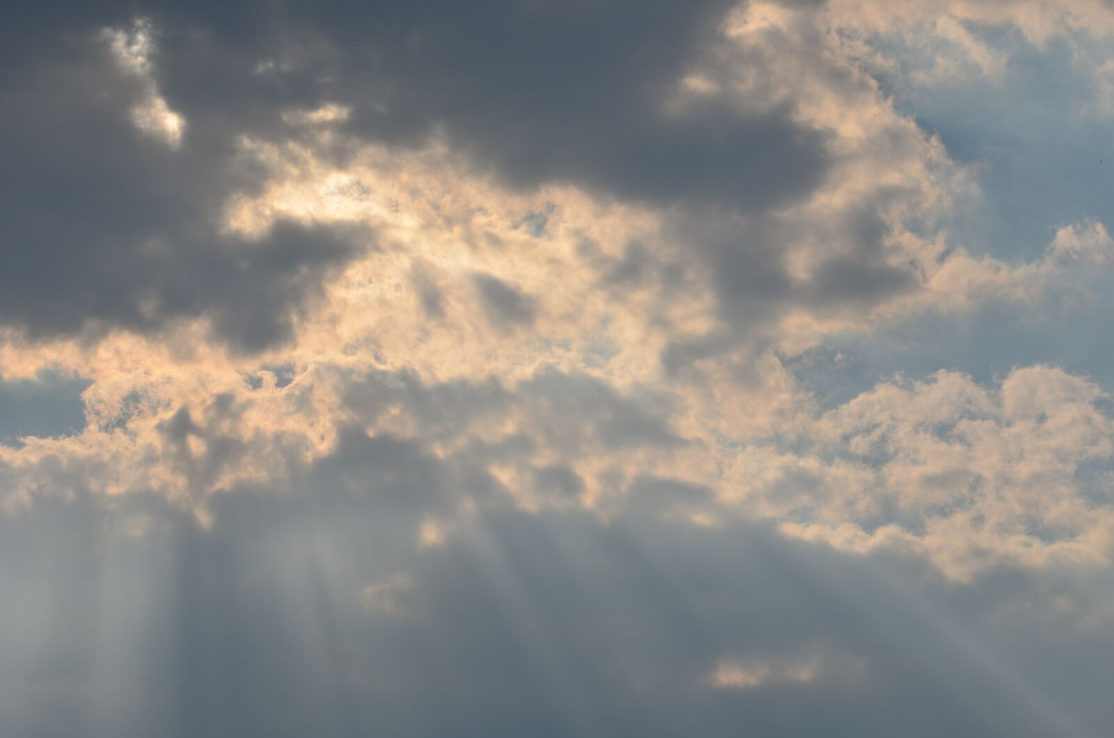 Nikon D5100 sample photo