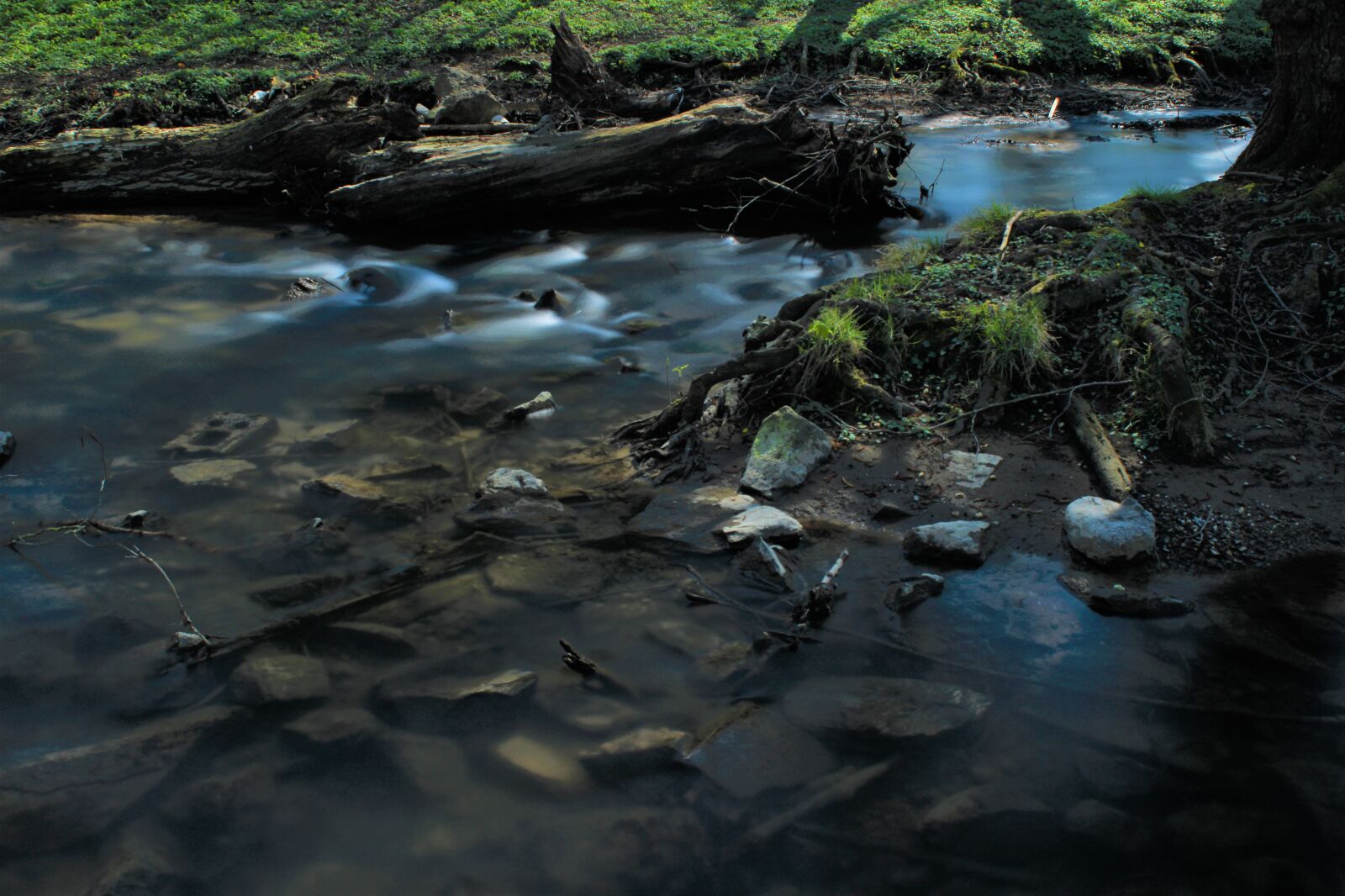 Canon EOS 2000D (EOS Rebel T7 / EOS Kiss X90 / EOS 1500D) sample photo. Bach, water, soft photography