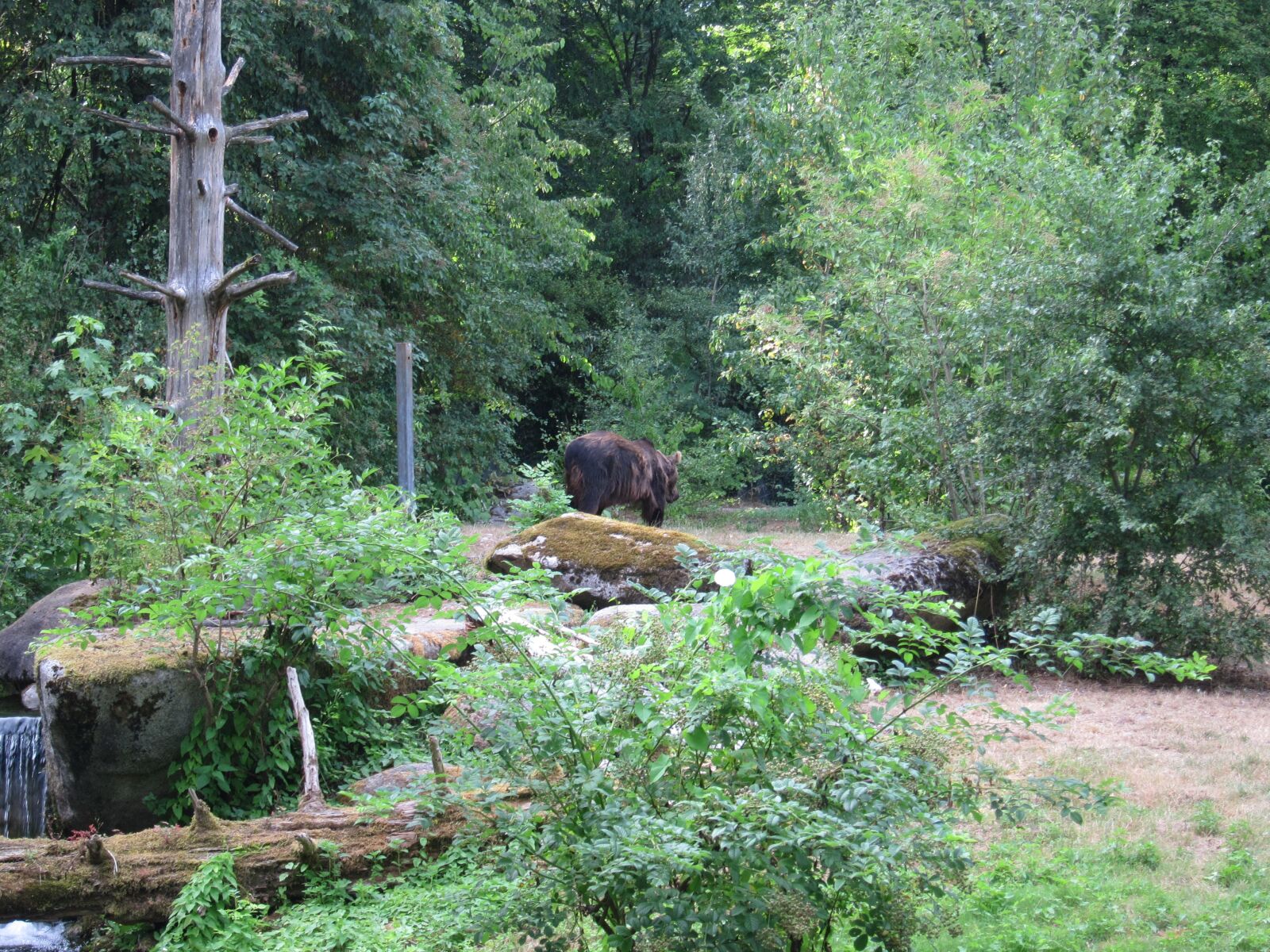 Canon PowerShot S95 sample photo. Bear, teddy, animal photography