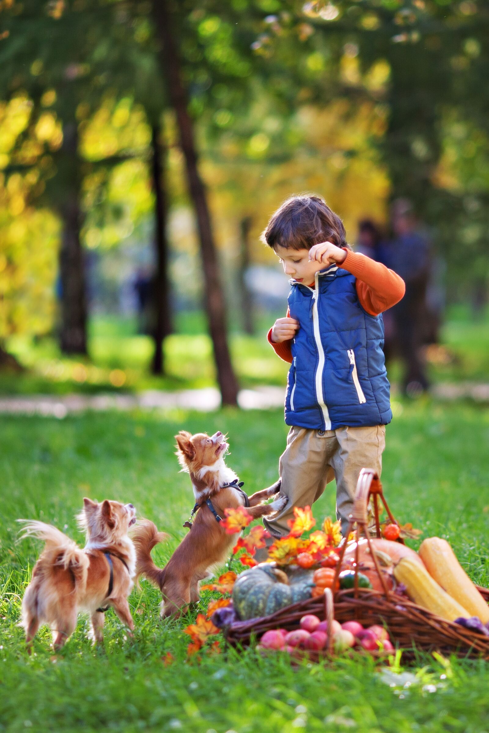 Canon EOS 5D Mark II sample photo. Dogs, dog, pet photography