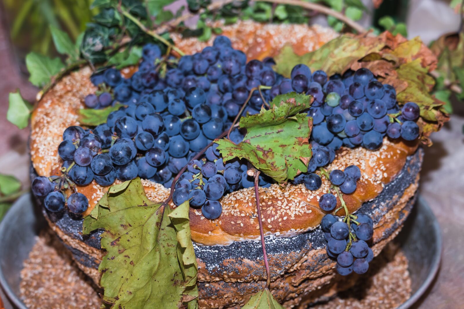 Canon EOS 77D (EOS 9000D / EOS 770D) sample photo. Thanksgiving, festival, grapes photography