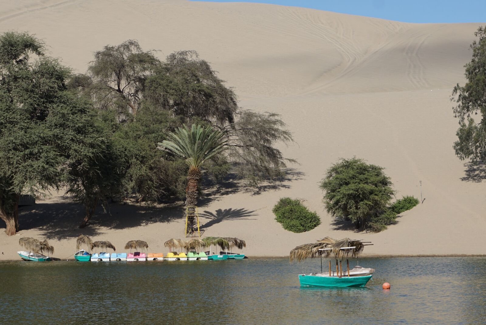 Sony E 16-50mm F3.5-5.6 PZ OSS sample photo. Peru, desert, oasis photography