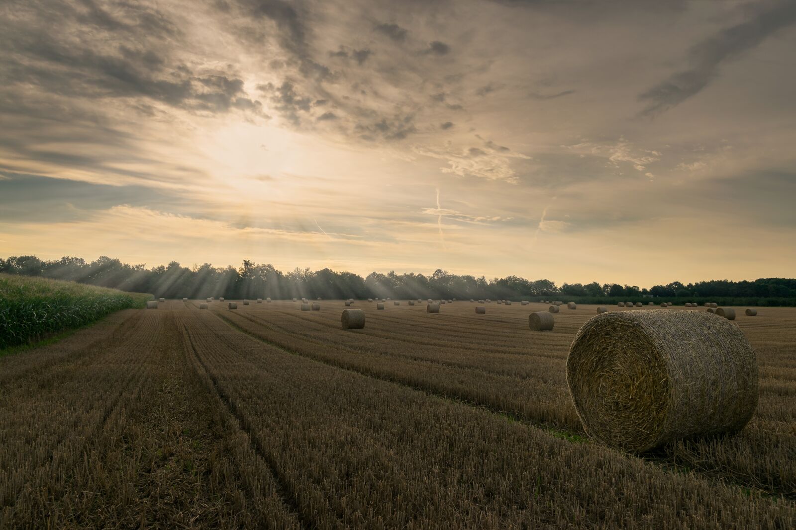 Nikon D5300 sample photo. Sunrise, sky, landscape photography