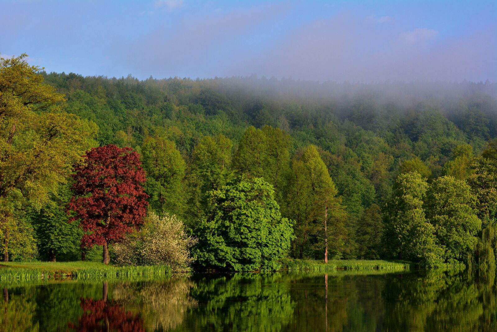 Nikon D5200 sample photo. Park lake, park, thuringia photography