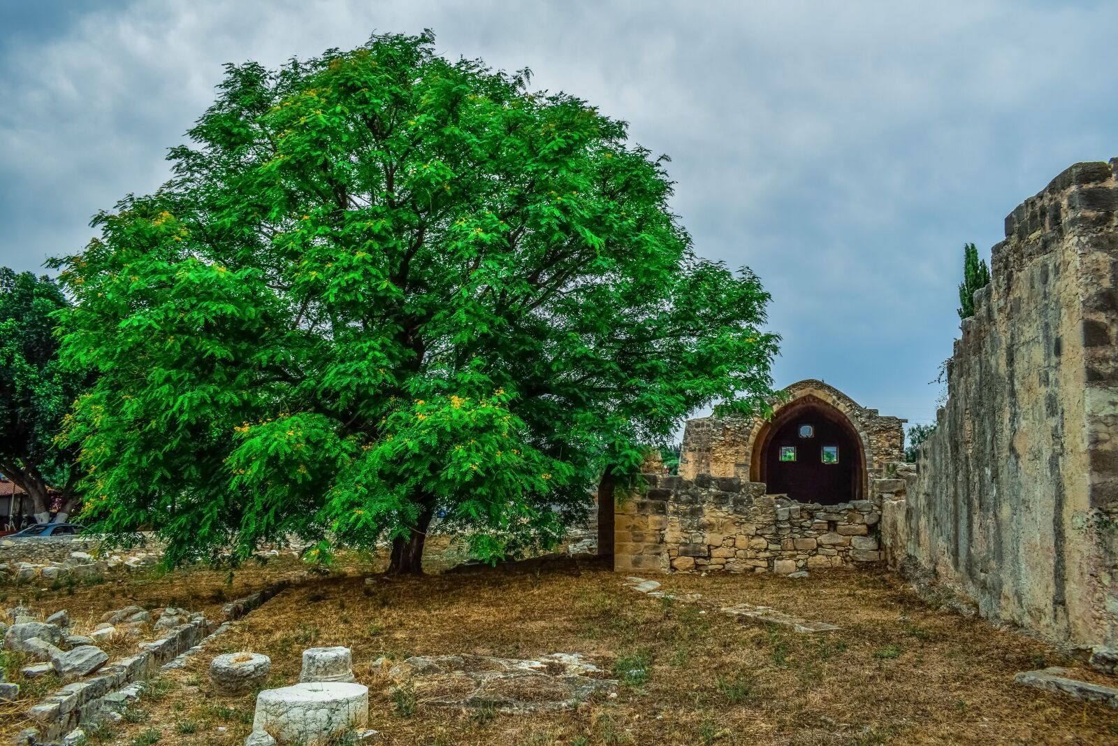 Nikon D3300 sample photo. Tree, wall, ruins photography